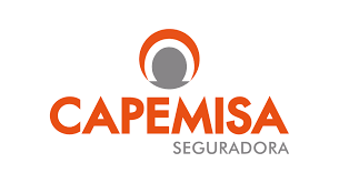 Capemisa Logo